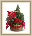 Accent Floral & Gifts, 505 W Central Blvd, Anadarko, OK 73005, (405)_247-9595